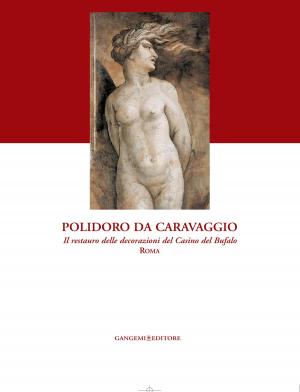 Book cover of Polidoro da Caravaggio