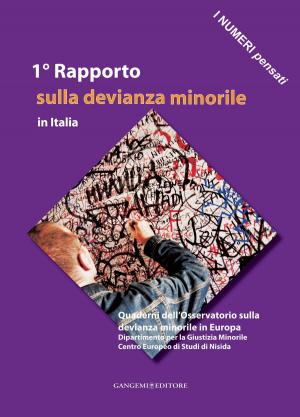 Book cover of 1° Rapporto sulla devianza minorile in Italia