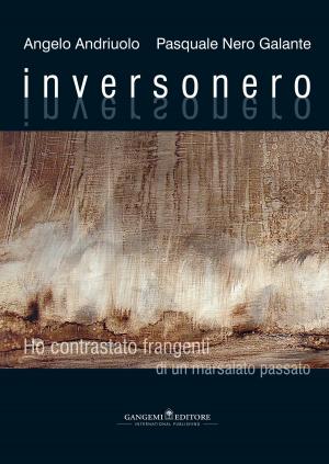 Cover of the book Inversonero by Maurizio Nenna