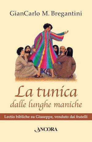 Cover of La tunica dalle lunghe maniche