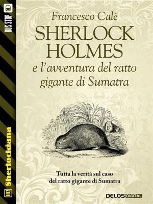 Cover of the book Sherlock Holmes e l'avventura del ratto gigante di Sumatra by Brett McKean