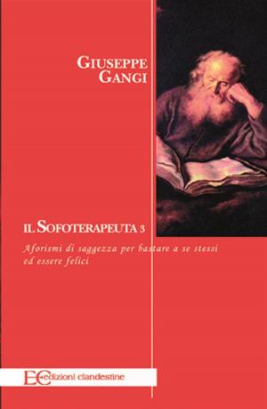Book cover of Il sofoterapeuta 3
