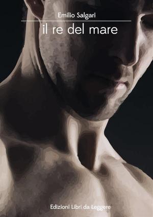 Cover of the book Il re del mare by Emilio Salgari