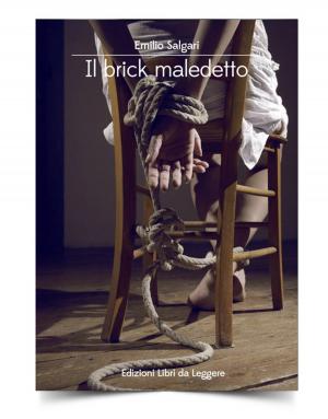 Book cover of Il brick maledetto