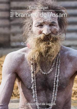 Book cover of Il bramino dell'Assam