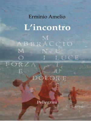 Cover of the book L'Incontro by Vincenzo Rosario Spagnolo