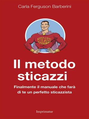 Cover of the book Il metodo sticazzi by Sally Blank