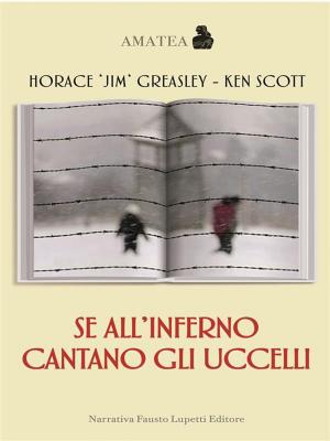 Cover of the book Se all'inferno cantano gli uccelli by Igal Shamir