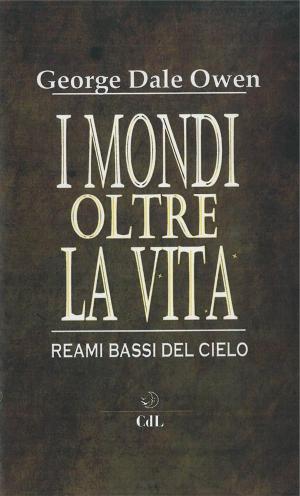 Cover of the book I mondi oltre la vita by Anne Kelleher