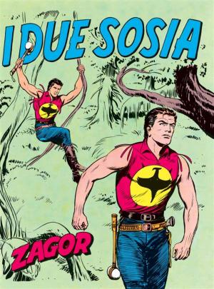 bigCover of the book Zagor. I due sosia by 