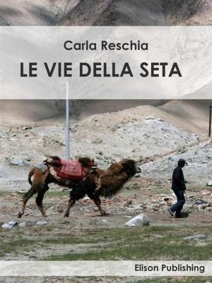 Cover of the book Le vie della seta by Franco Alvisi