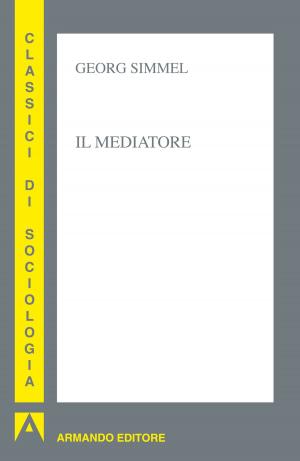 Cover of the book Il mediatore by John Carlins
