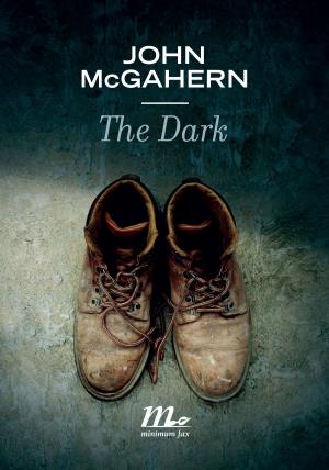 Cover of the book The Dark by Matteo Cavezzali