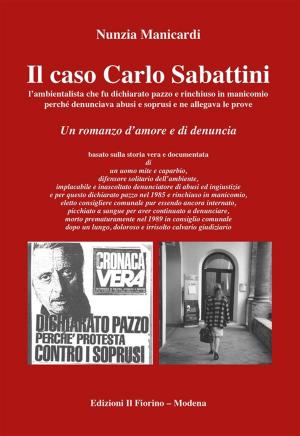 Cover of the book Il caso Carlo Sabattini l’ambientalista che fu dichiarato pazzo e rinchiuso in manicomio... by Nunzia Manicardi