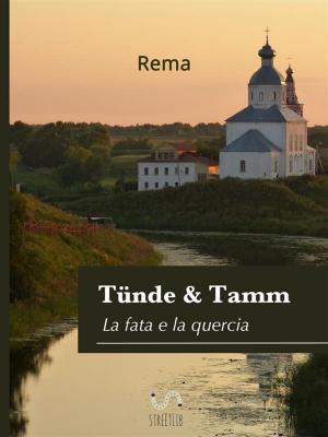 Book cover of Tünde & Tamm,(La fata e la quercia)