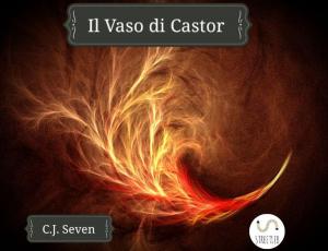 Cover of the book Il Vaso di Castor by Edward Petty