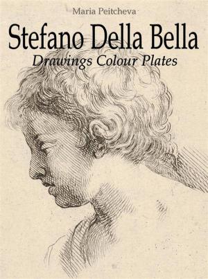 Cover of the book Stefano Della Bella: Drawings Colour Plates by Andy Morris