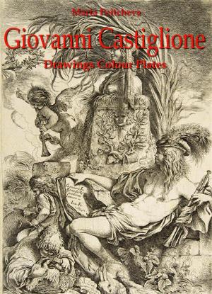 Book cover of Giovanni Castiglione: Drawings Colour
