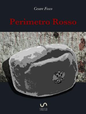 Cover of the book Perimetro Rosso by Katy Eeten