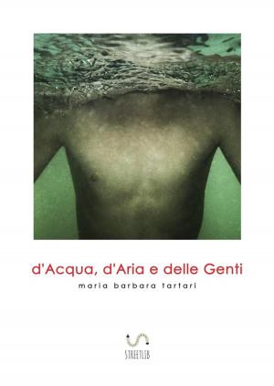 Cover of the book d'Acqua, d'Aria e delle Genti by Simone Morana Cyla