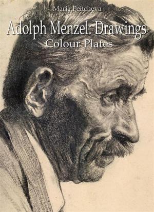 Book cover of Adolph Menzel: Drawings Colour Plates