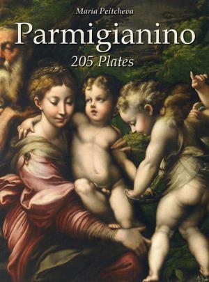 Book cover of Parmigianino: 205 Plates