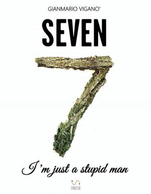 Cover of the book Seven - I'm just a stupid man by Torry Fountinhead