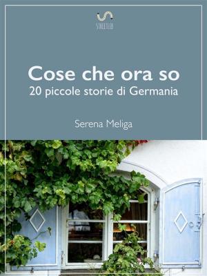 Cover of the book Cose che ora so by Cosimo Mottolese
