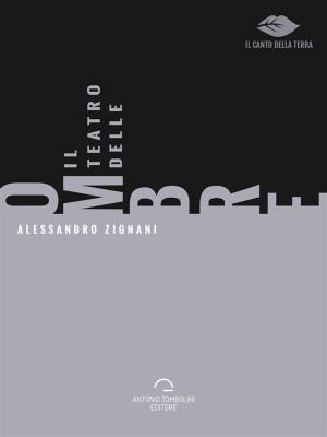 Cover of the book Il Teatro Delle Ombre by Diego Ferrara
