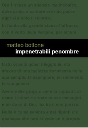 Cover of the book Impenetrabili penombre by Matteo Bottone