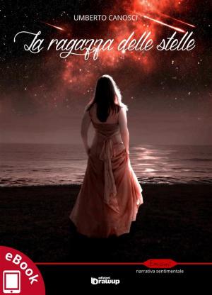 Cover of the book La ragazza delle stelle by Andrea Fantino