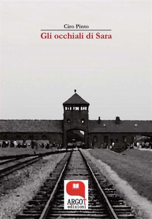 Book cover of Gli occhiali di Sara