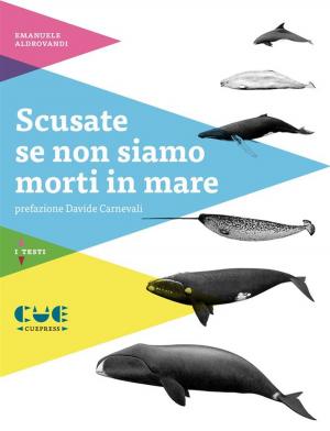 Cover of the book Scusate se non siamo morti in mare by Simon Stephens