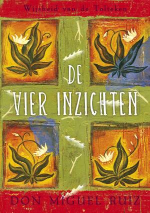 Cover of the book De vier inzichten by Lincoln Peirce
