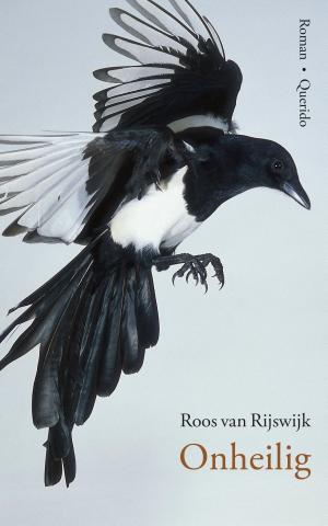 Cover of the book Onheilig by Monika van Paemel
