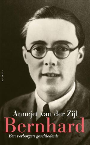 Cover of the book Bernhard by Toon Tellegen