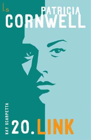 Cover of the book Link by Jessica Townsend