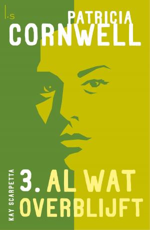 Book cover of Al wat overblijft