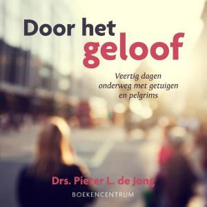 Cover of the book Door het geloof by Jolanda Dijkmeijer