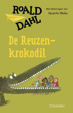 Cover of the book De reuzenkrokodil by Olga van der Meer