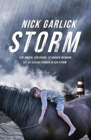 Cover of the book Storm by Richard Dowden