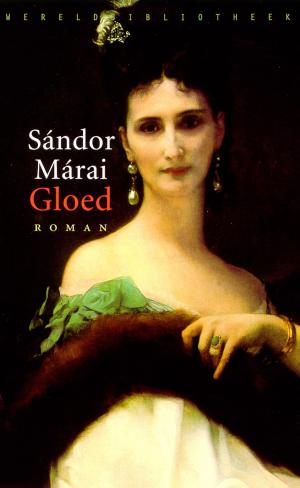 Cover of the book Gloed by Pascal Mercier