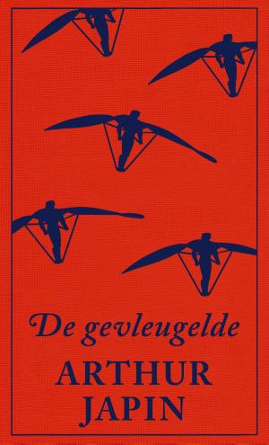 Cover of the book De gevleugelde by Abo Iaschaghaschwili