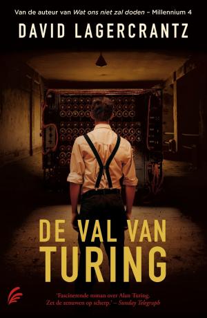 Cover of the book De val van Turing by Michel van Rijn
