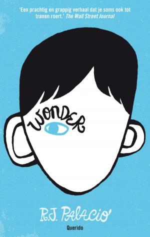 Cover of the book Wonder by Sylvia Witteman