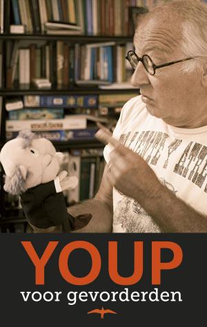 Cover of the book Youp voor gevorderden by Elizabeth Gilbert