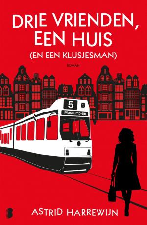 Cover of the book Drie vrienden, een huis (en een klusjesman) by Kathleen Woodiwiss