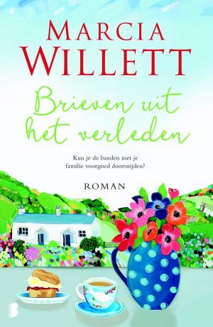 Cover of the book Brieven uit het verleden by Hanna Lindberg