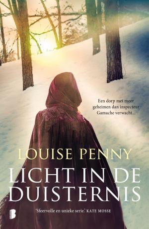 Cover of the book Licht in de duisternis by Audrey Carlan