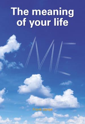 Book cover of The meaning of your life